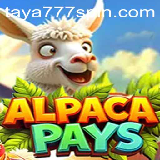 Discover the Exciting World of AlpacaPays with Taya777